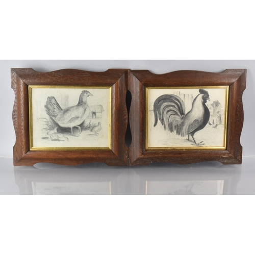 65 - A Pair of Late 19th Century Framed Pencil Drawings of Poultry, One Signed Ro Widdowson, 23x18cms