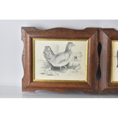 65 - A Pair of Late 19th Century Framed Pencil Drawings of Poultry, One Signed Ro Widdowson, 23x18cms