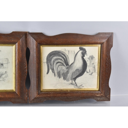 65 - A Pair of Late 19th Century Framed Pencil Drawings of Poultry, One Signed Ro Widdowson, 23x18cms