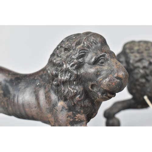 76 - A Pair of Regency Cast Iron Door Porters in the Form of Medici Lion, Missing Plinth Bases and with O... 