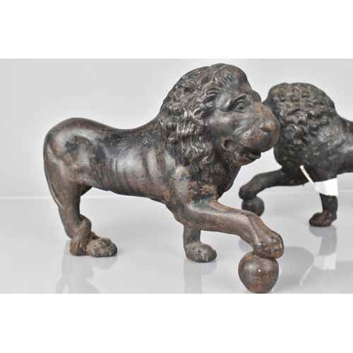 76 - A Pair of Regency Cast Iron Door Porters in the Form of Medici Lion, Missing Plinth Bases and with O... 