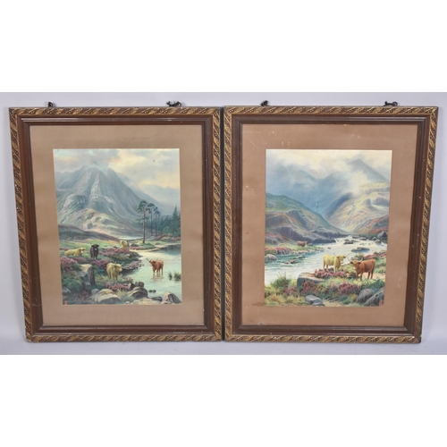 241 - A Pair of Edwardian Gilt Framed Prints of Highland Cattle, 35x48cms