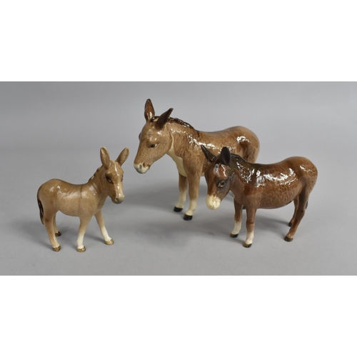 353 - A Beswick Donkey Family