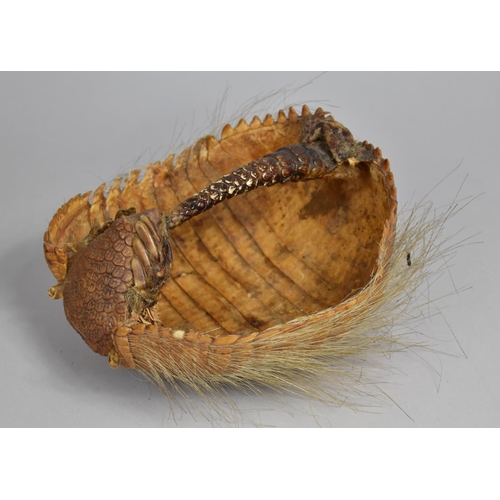 66 - A Basket Formed from Taxidermy South American Armadillo