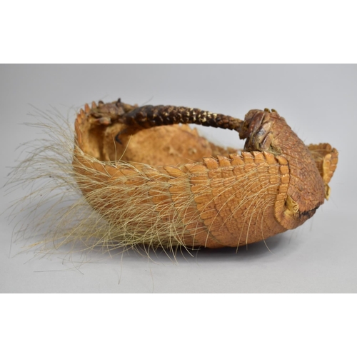 66 - A Basket Formed from Taxidermy South American Armadillo