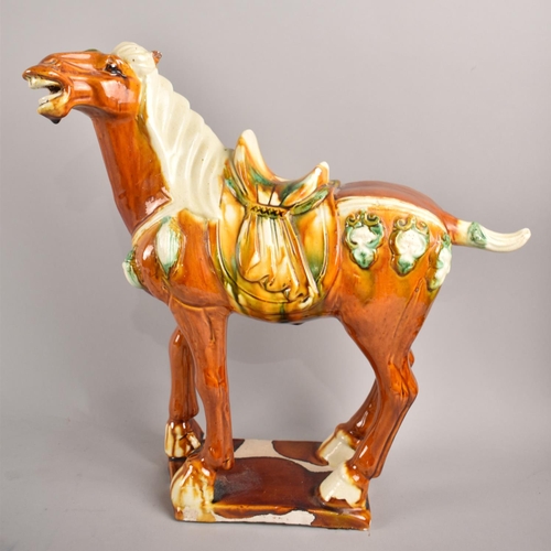 117 - A Large Glazed Ceramic Study of Tang Horse, ears AF, 36cms Wide