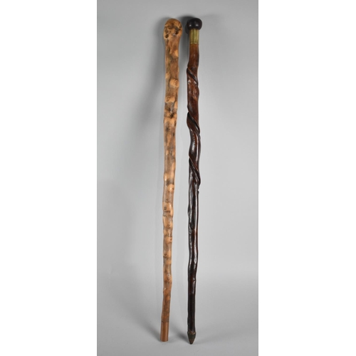 181 - Two Rustic Walking Sticks, One reputedly Used to Test the State of Going at the Racecourse in Birmin... 