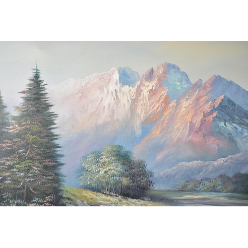 301 - A Large Framed Oil on Canvas Signed W Jenkins Depicting Alpine Scene, 90x60cms