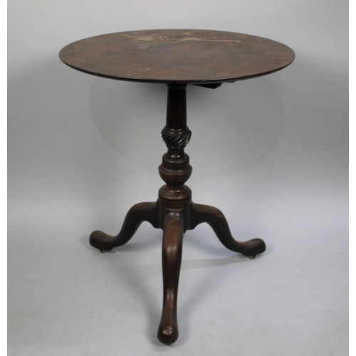 564 - A 19th Century Mahogany Snap Top Tripod Table, Waterstained Top, 61cms Diameter