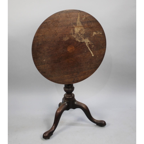 564 - A 19th Century Mahogany Snap Top Tripod Table, Waterstained Top, 61cms Diameter