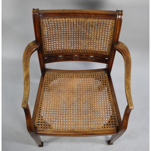 567 - A Cane Seated and Backed Edwardian Ladies Armchair