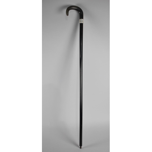 67 - A Silver Mounted Horn Handled Ebony Shafted Walking Stick, AR London 1924, Missing Ferule