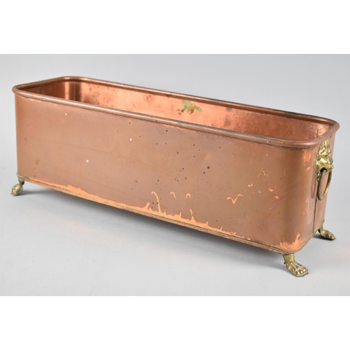 84 - A Copper Planting Trough with Four Brass Claw Feet and Brass Ring Handles, 44cms Wide