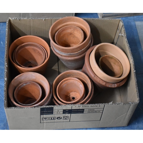 434 - A Collection of Various Terracotta Plant Pots