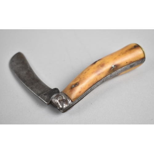 76 - An 18th Century Bone Handled Pocket Knife