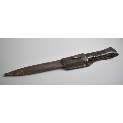 85 - A WWII German Bayonet by E Pack, with Scabbard and Leather Frog, 40cms Long