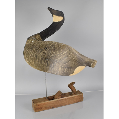 37 - A Large c.1920's American Decoy Goose by WM. R. Johnson Co., Seattle, Having Trade Label to the insi... 