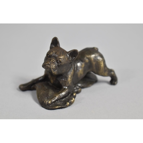 12 - A Small Bronze Study of a Boxer Dog, 6.5cms long