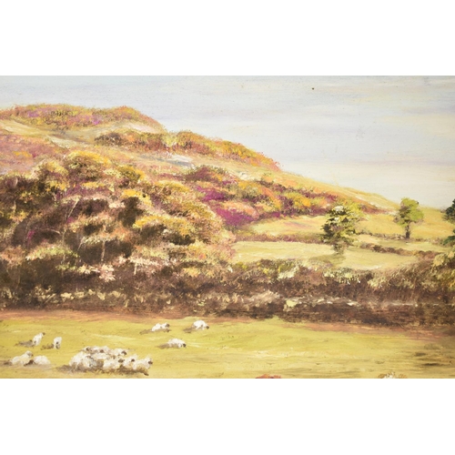 147 - A Framed Oil on Board, Haughmond Hill 1986 by J Harding, 73x37cm