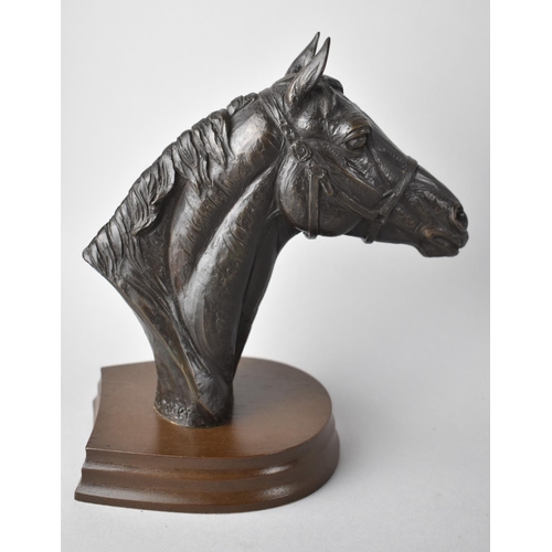 16 - A Bronze Effect Resin Sculpture, Stallion's Head by Doris Lindner, Heredities Series No DL10, 18.5cm... 
