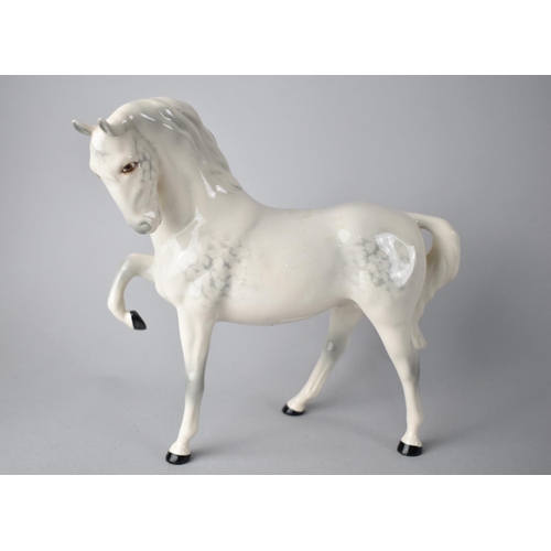 346 - A Beswick Horse, Head Tucked, Leg up, no. 1549