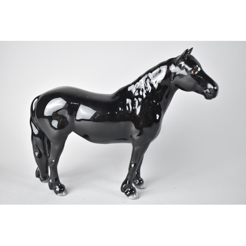 349 - A Beswick Fell Pony, No. 1647