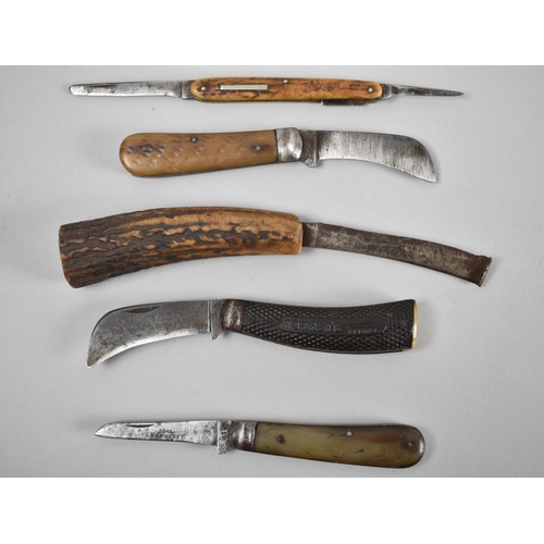 36 - A Collection of Various Horn Handled and Other Pocket Knives and a Parer