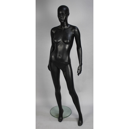 396 - A Female Shop Mannequin on Perspex and Chrome Base, 176cms High