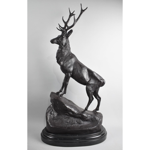 A Very Large Heavy Reproduction Bronze Sculpture of Stag (Facing Left), On Oval Marble Plinth after Moignier, 75cms High