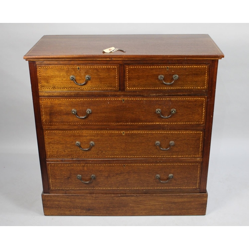 132 - A 19th Century Inlaid Mahogany Chest of Two Short and Three Long Drawers, Plinth Base, 96cm wide