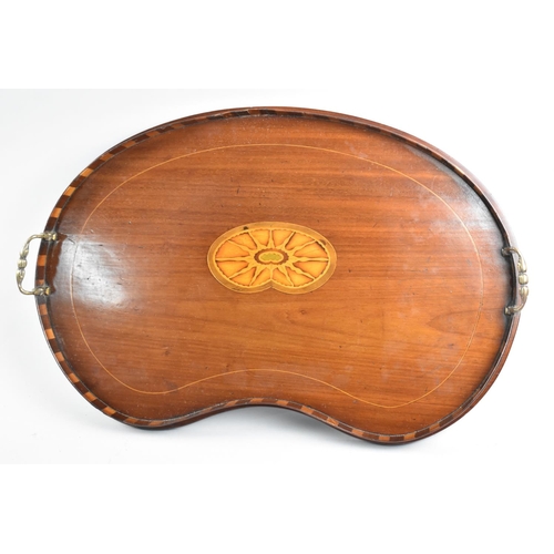 135 - A Late Victorian Inlaid Kidney Shaped Tray with Two Brass Handles, 59cm wide