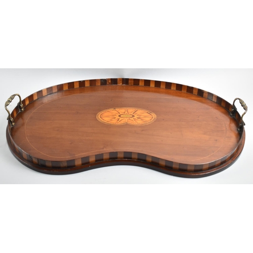 135 - A Late Victorian Inlaid Kidney Shaped Tray with Two Brass Handles, 59cm wide