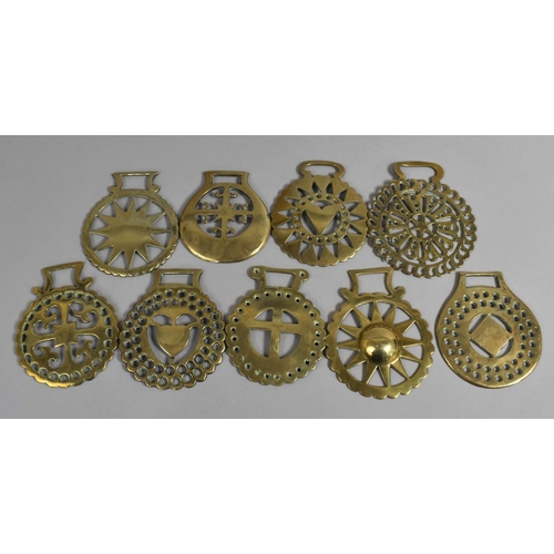 164 - A Collection of Victorian Horse Brasses