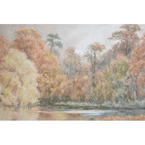 185 - A Framed Watercolour Depicting Wooded Pond, Ken Wood by G C Francis, 33x23cm