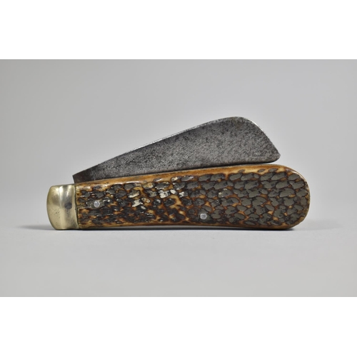 83 - A 19th Century Folding Pruning Knife with Horn Scales