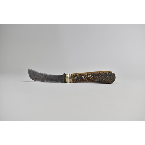 83 - A 19th Century Folding Pruning Knife with Horn Scales