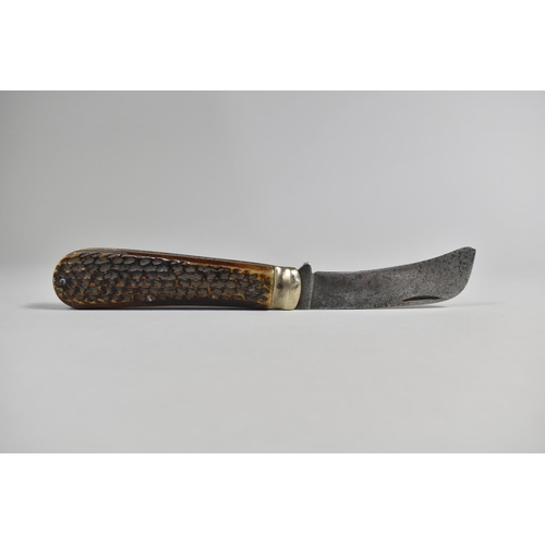 83 - A 19th Century Folding Pruning Knife with Horn Scales