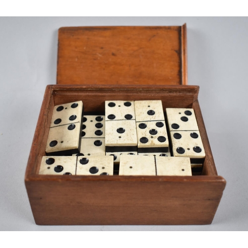 32 - A Late 19th Century Cased Set of Small Bone Six Spot Dominoes, 11.5cms Wide