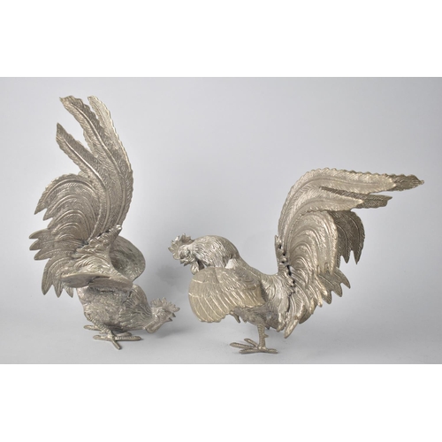 59 - A Pair of Large Silver Plated Fighting Cocks, 26cms High
