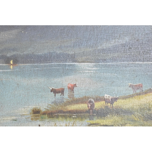 177 - A Pair of Gilt Framed Oil on Boards, Highland Cattle, Signed Arthur Abel, 1907 and 1909, 40x24cms