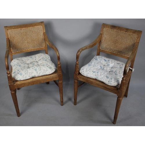 480 - A Pair of Cane Seated and Backed Armchairs, Somewhat Faded