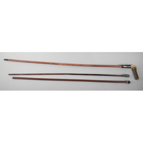 1 - A Collection of Two Swagger Sticks together with a Bone Handled Crop Example Inscribed 