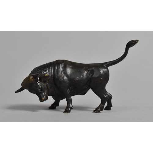 13 - A Small Patinated Bronze Study of a Fighting Bull, 9cms Long