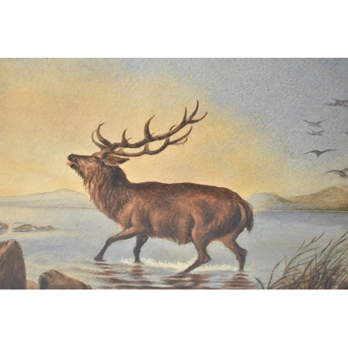 132 - A Framed Watercolour Depicting Stag in Lake, 67x27cms