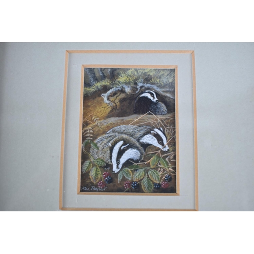 134 - A Collection of Four Ken Taylor Miniature Watercolours of Animals to include Badger, Otter, Fox Etc