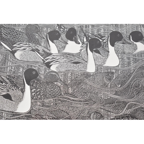 218 - A Framed Limited Edition Wood Engraving, Pintail and Grayling by Colin Paynton, 20/130, 21x17cm