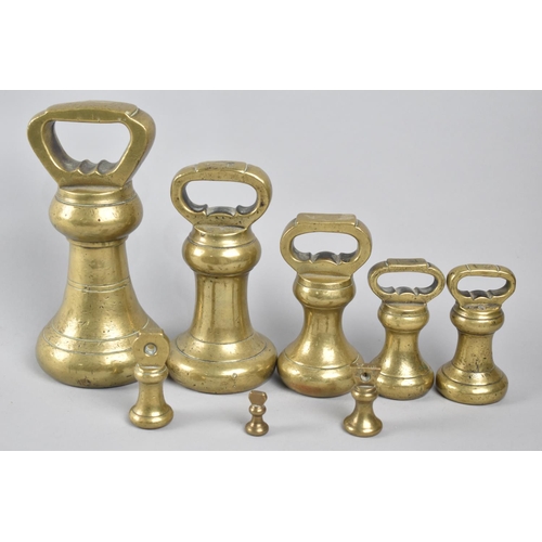 47 - A Collection of Eight Late 19th/Early 20th Century Brass Bell Weights Ranging Half Ounce to Seven Lb... 