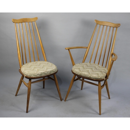 491 - A Set of Six Ercol Blonde Goldsmith Chairs to Include One Carver