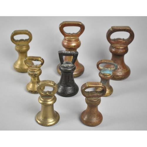 61 - A Collection of Eight Unrelated 19th Century Brass Bell Weights Ranging 1Lb to 4Lbs