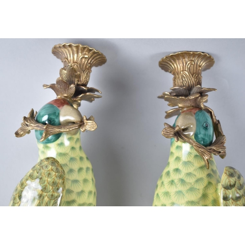 66 - A Pair of Reproduction French Style Wall Hanging Candlesticks in the Form of Parrots in Porcelain an... 